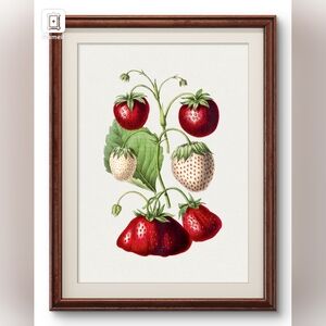 Botanical Strawberry Art Print